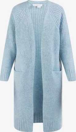 Vesten Gebreid Vest Dames Lichtblauw