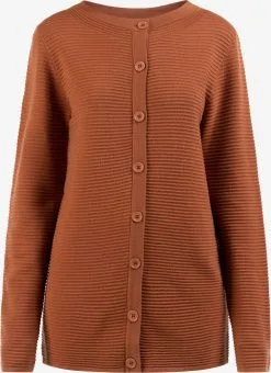 Vesten Gebreid Vest Dames Roestrood