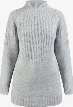 Fijngebreide Truien Trui Lynnea Dames Grijs