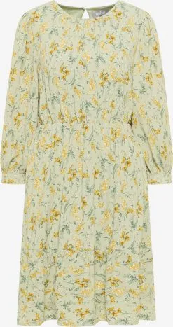 Usha Mini Jurken Jurk Dames Pastelgroen / Donkergroen