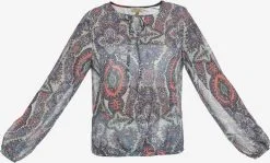 Blouses & Tunieken Blouse Dames Blauw