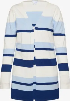 Vesten Gebreid Vest Lynnea Dames Lichtblauw / Donkerblauw