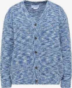 Vesten Gebreid Vest Dames Blauw / Navy / Hemelsblauw